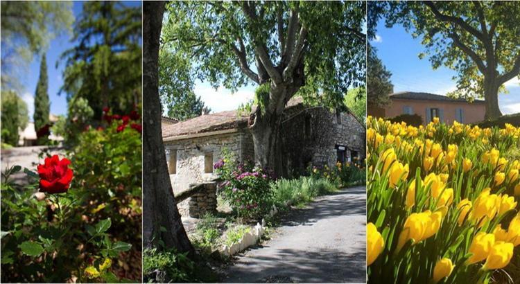 Le Hameau De L'Etoile Hotel Saint-Martin-de-Londres ภายนอก รูปภาพ